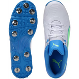 Puma Mens Spike 19.2 Men's Cricket BootsCricket Shoe (10551007)