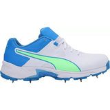 Puma Mens Spike 19.2 Men's Cricket BootsCricket Shoe (10551007)