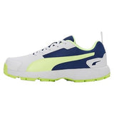 Puma Mens Cricket Highrun Cricket Shoe (10780603)