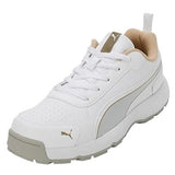 Puma Mens Cricket Classicat Cricket Shoe (10780701)