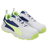 Puma Mens Cricket Highrun Cricket Shoe (10780603)