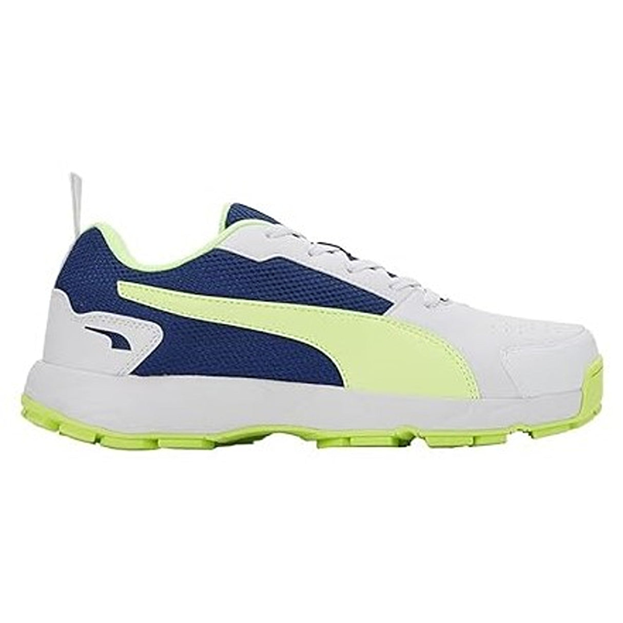 Puma Mens Cricket Highrun Cricket Shoe (10780603)