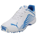 Puma Mens 22 Fh Rubber Cricket Shoe (10678907)