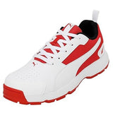 Puma Mens Cricket Highrun Cricket Shoe (10780602)