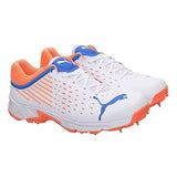 Puma Mens Spike 22.1 Cricket Shoe (10666801)