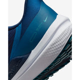 Nike Winflo 9 (DD6203-401)